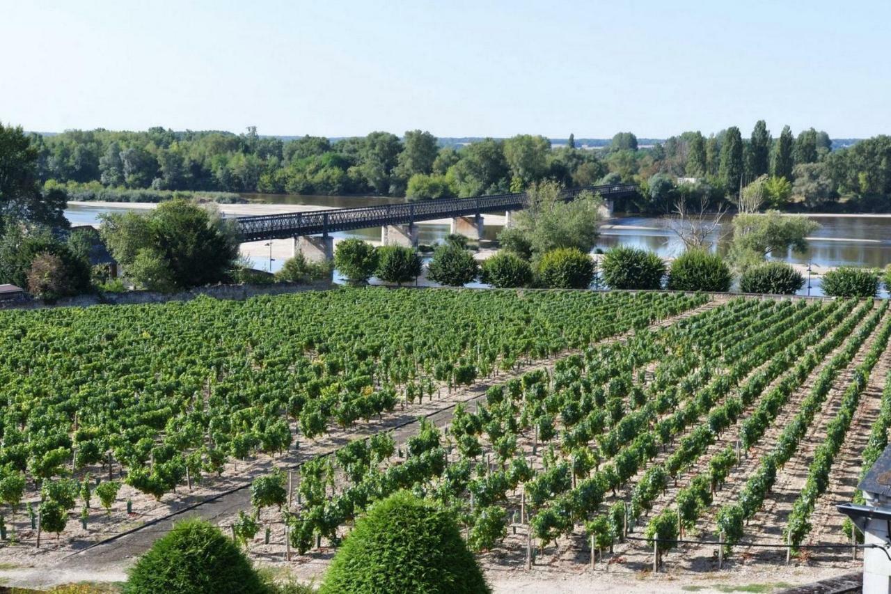 Gite Des Chaumiennes Pouilly sur Loire Bagian luar foto