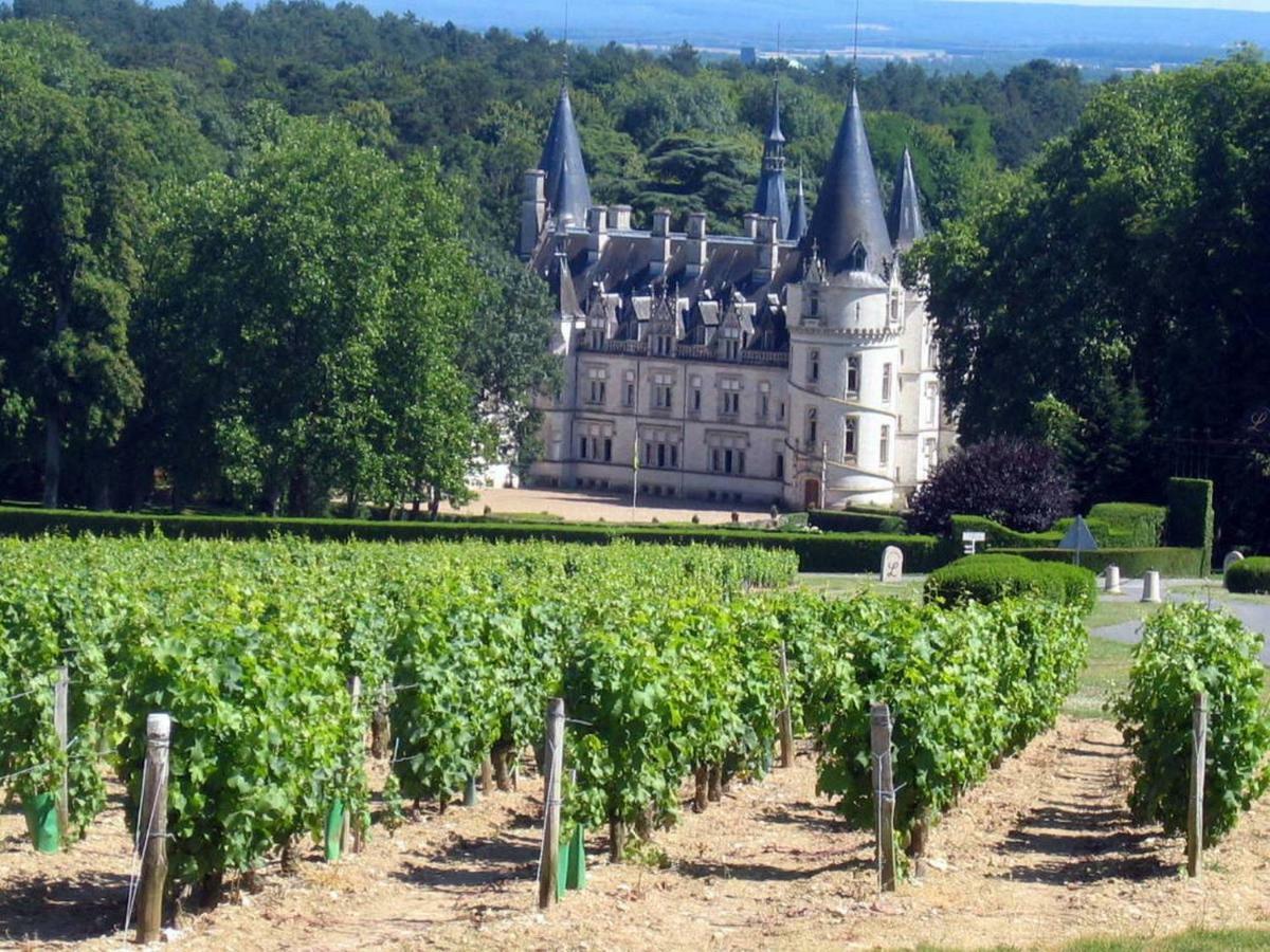 Gite Des Chaumiennes Pouilly sur Loire Bagian luar foto