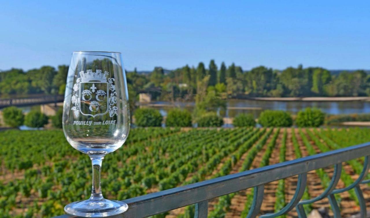 Gite Des Chaumiennes Pouilly sur Loire Bagian luar foto