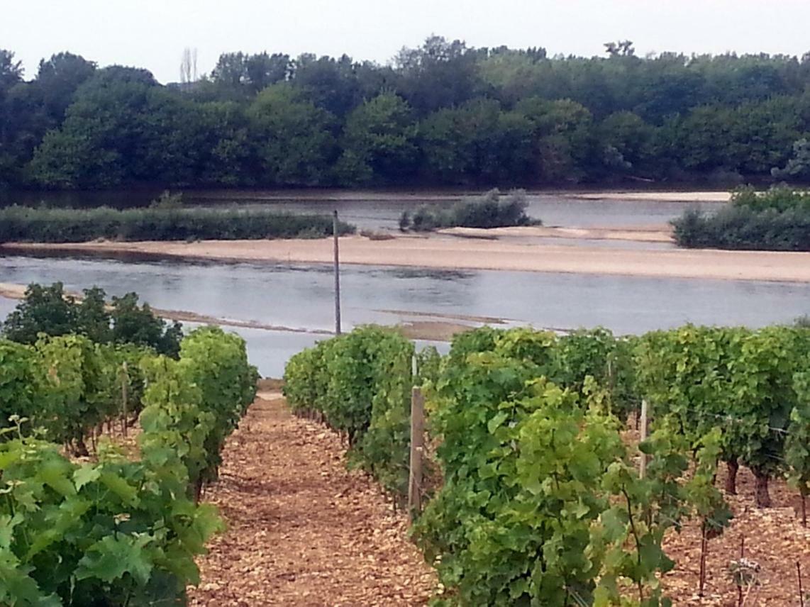 Gite Des Chaumiennes Pouilly sur Loire Bagian luar foto