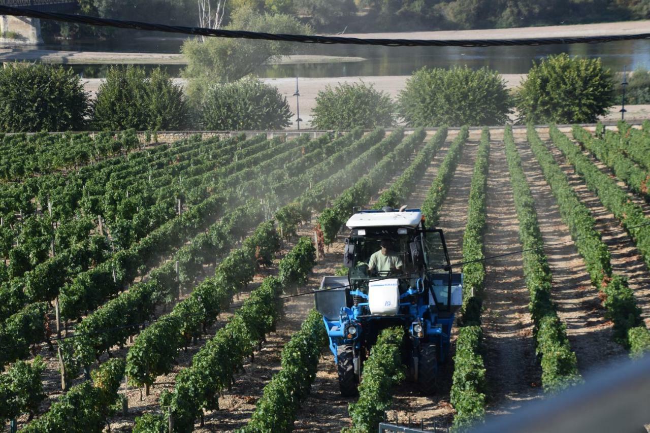 Gite Des Chaumiennes Pouilly sur Loire Bagian luar foto